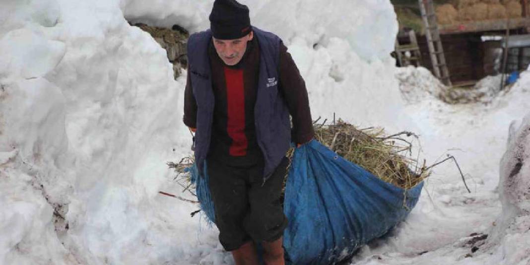 Adına kitaplar yazıldı, belgeseller çekildi: Karla kaplı güzelliği dillere destan oldu! 2
